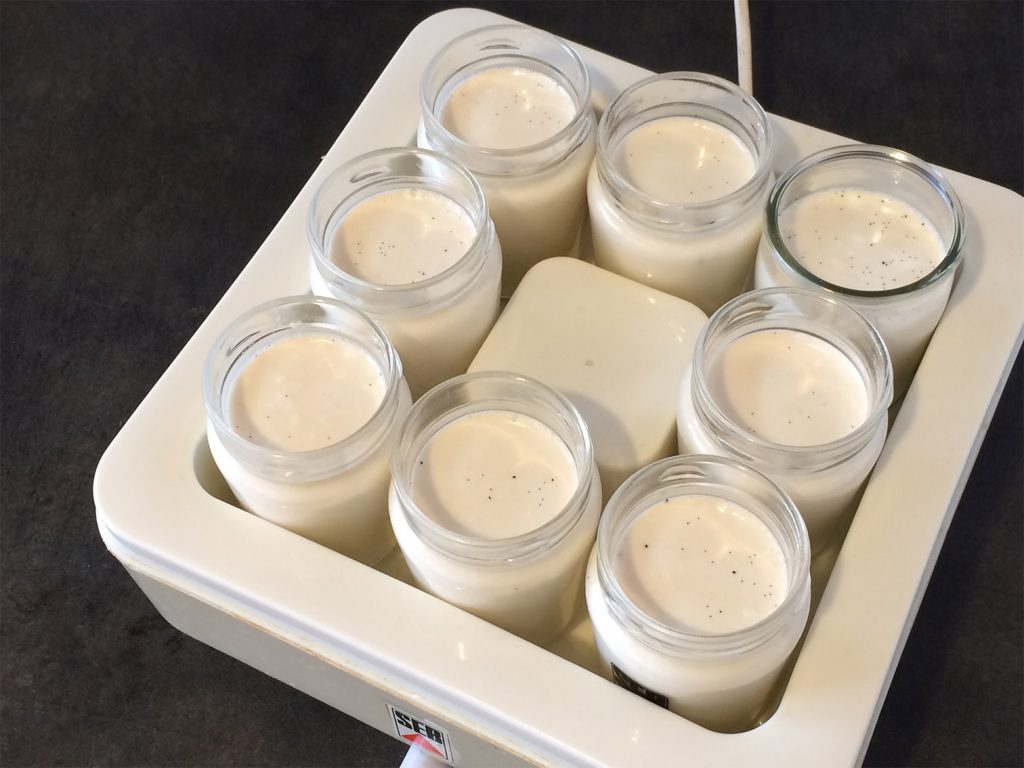 Yaourts au lait de chèvre Madame Bocal